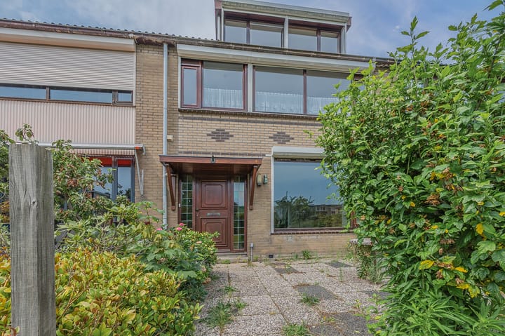 Foto 36 van Papierbloem 9