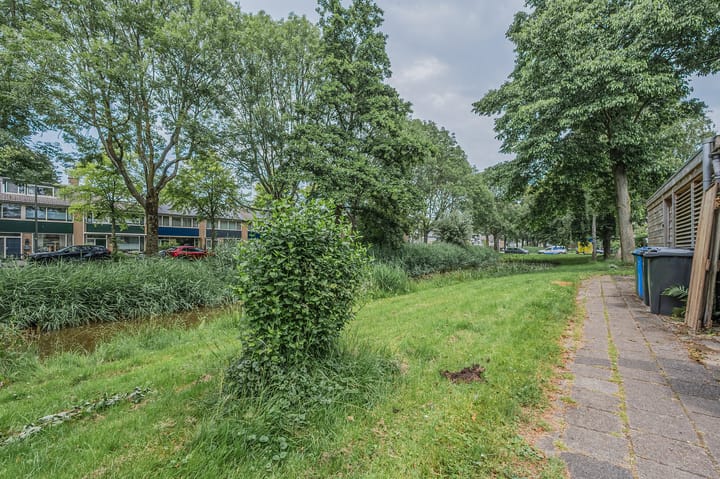 Foto 39 van Papierbloem 9