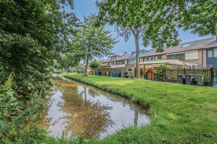 Foto 40 van Papierbloem 9