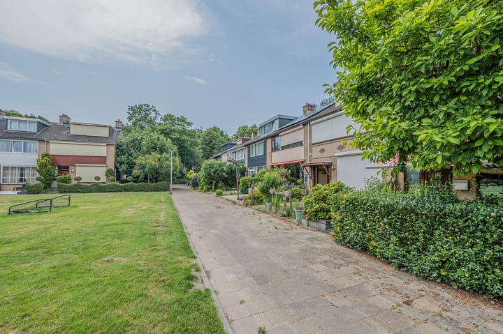 Foto 41 van Papierbloem 9