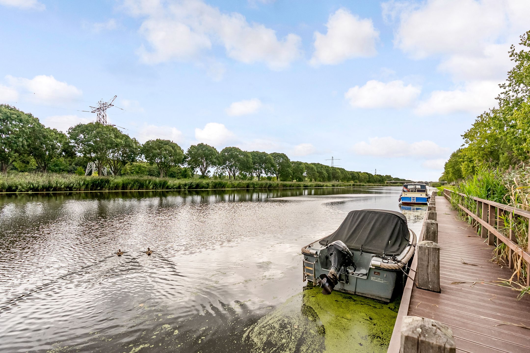 Foto 54 van Korenbloemweg 70