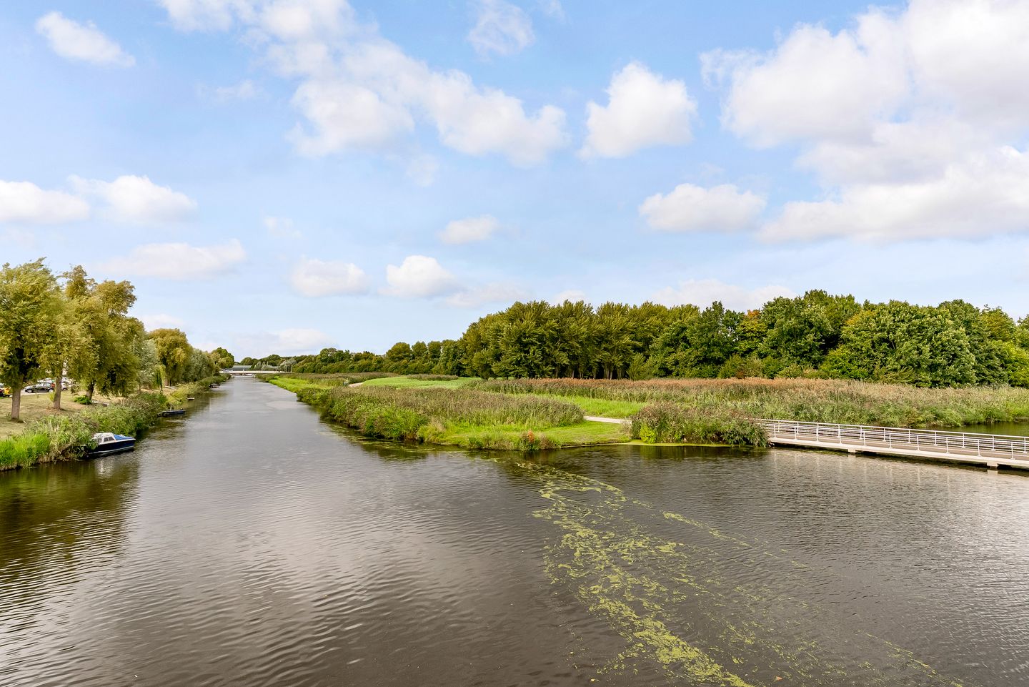 Foto 55 van Korenbloemweg 70