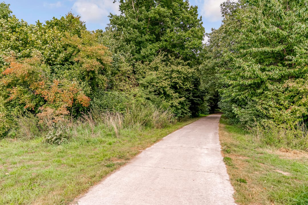 Foto 56 van Korenbloemweg 70