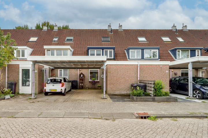 Foto 1 van Zandbos 99