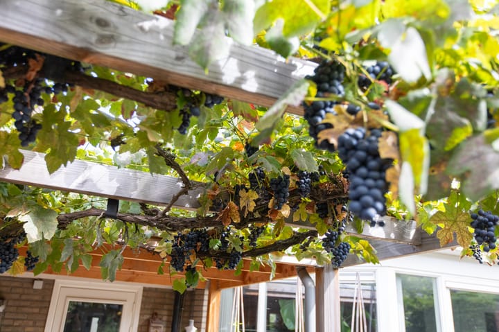 Foto 58 van Paganinistraat 15