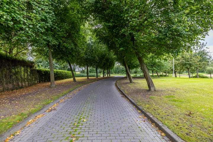 Photo 7 of Uithuizerweg 19