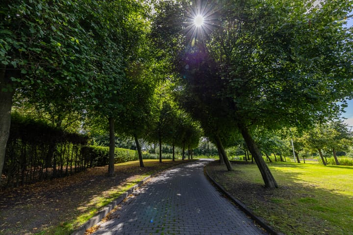 Photo 11 of Uithuizerweg 19