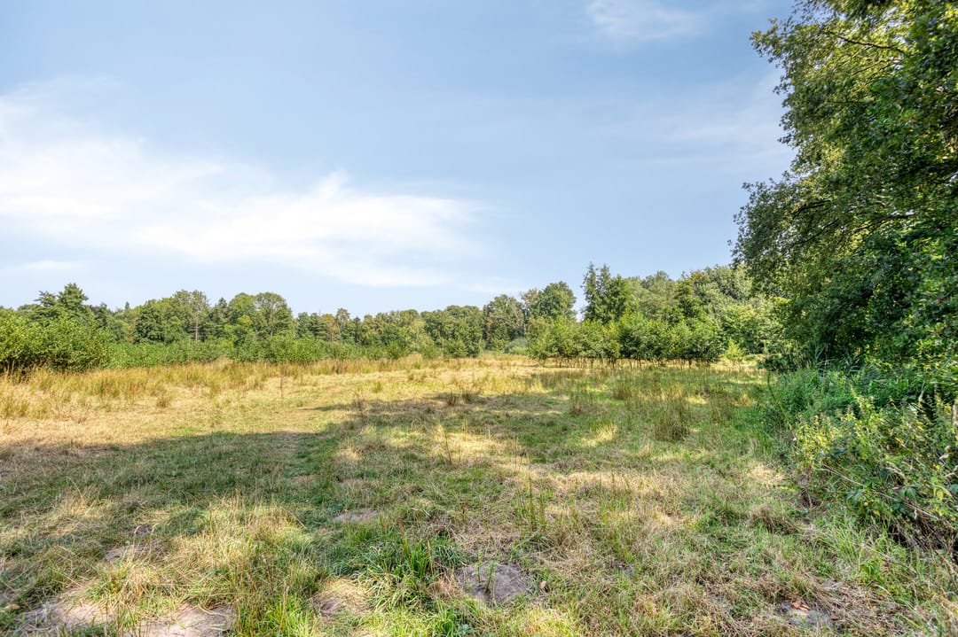 Photo 41 of Lijsterstraat 9