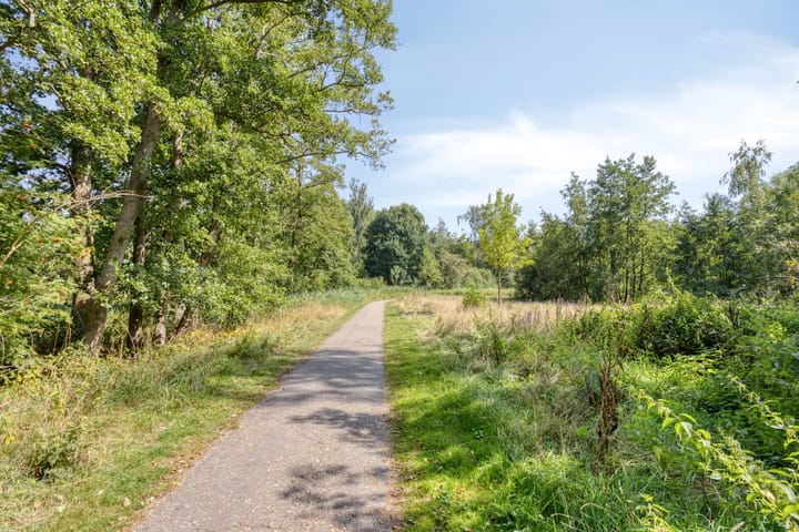 Foto 42 van Lijsterstraat 9