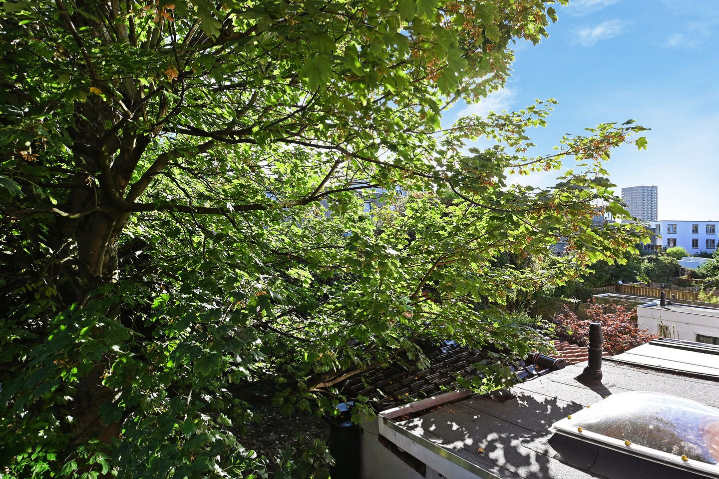 Photo 25 of Gaslaan 299