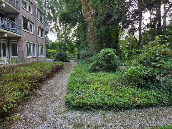 Foto 3 van Leonard Springerlaan 35-1