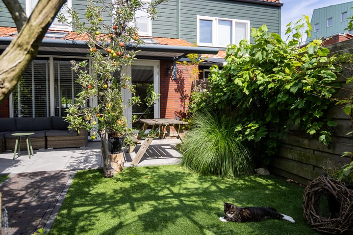 Foto 48 van Schouwmeester 2