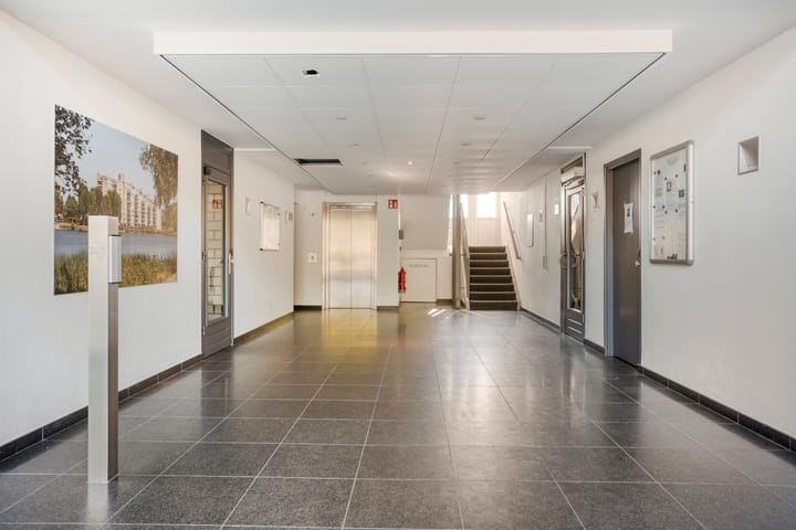 Foto 21 van Pisastraat 49