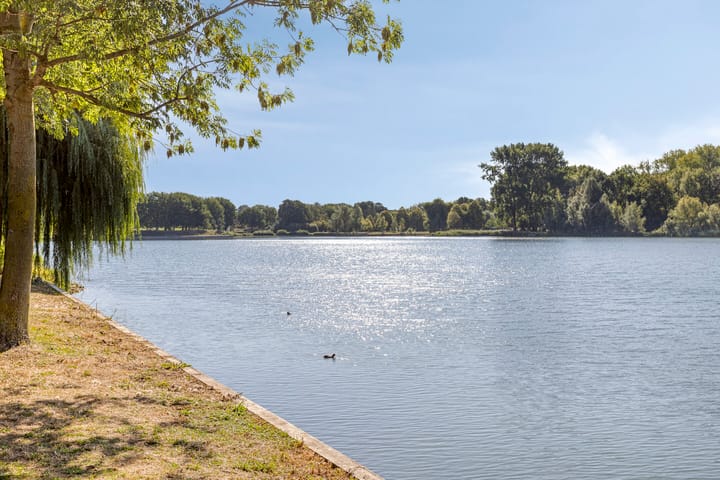 Foto 27 van Pisastraat 49