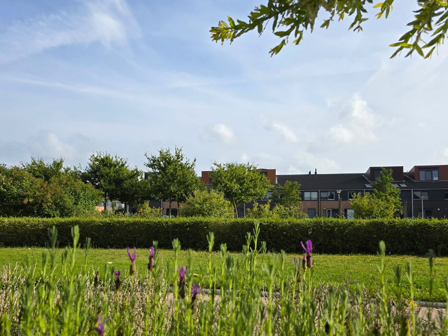 Foto 29 van Maasdam-akker 32