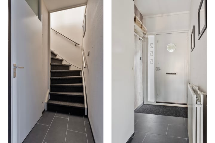 Foto 3 van Kanariesprenk 255