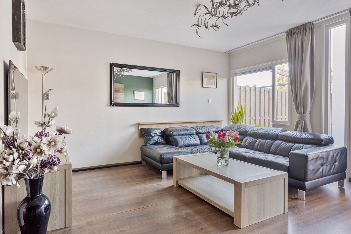 Foto 5 van Kanariesprenk 255