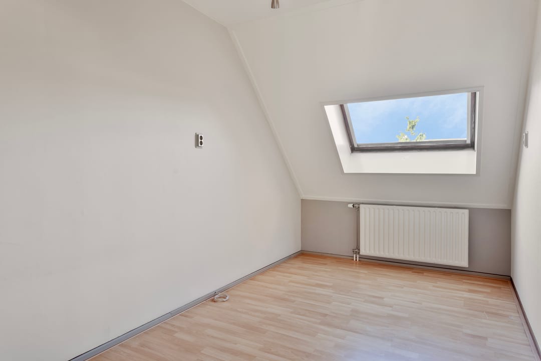 Foto 16 van Kanariesprenk 255