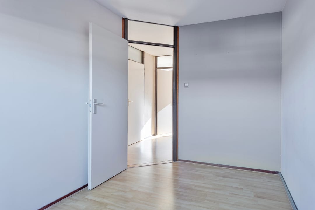 Foto 17 van Kanariesprenk 255