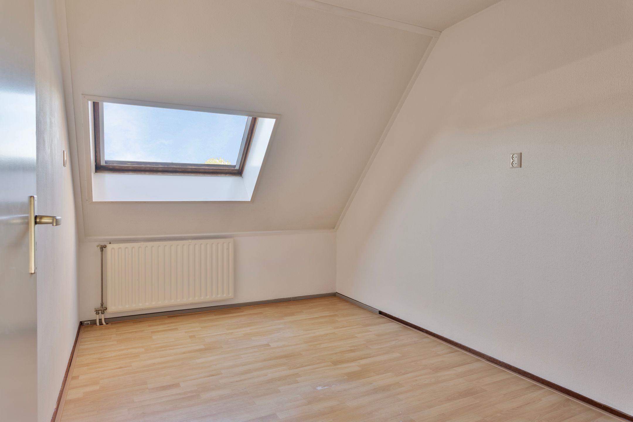 Foto 18 van Kanariesprenk 255