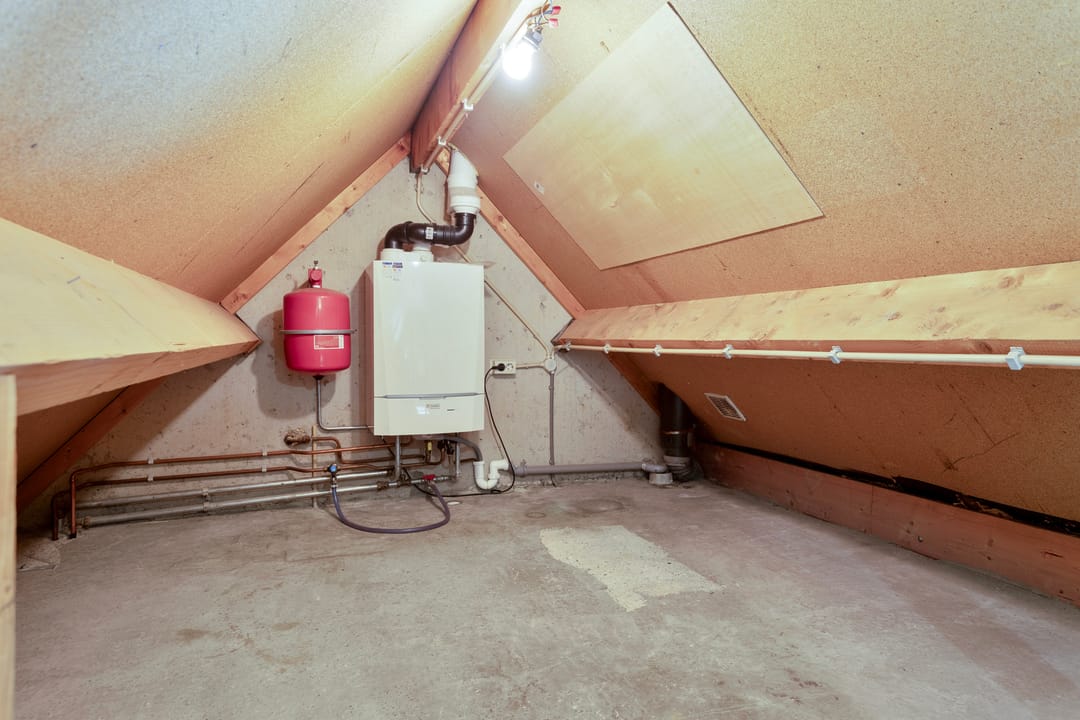 Foto 22 van Kanariesprenk 255