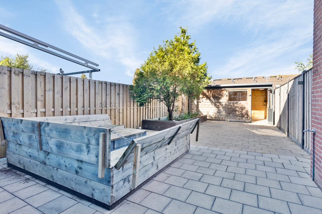 Foto 23 van Kanariesprenk 255