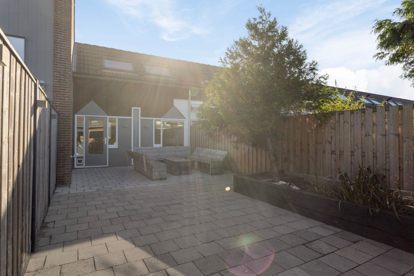 Foto 25 van Kanariesprenk 255