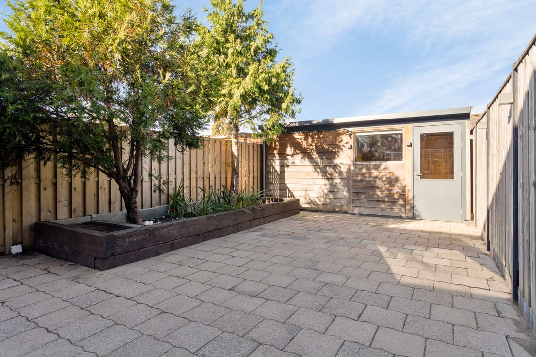 Foto 26 van Kanariesprenk 255