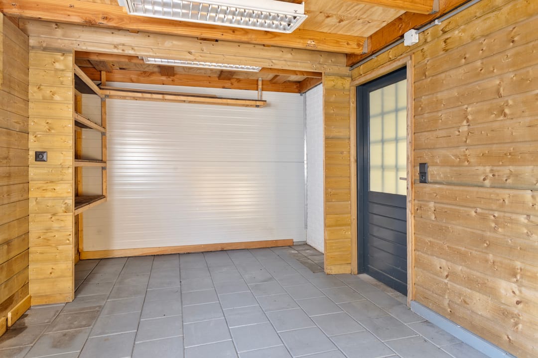 Foto 28 van Kanariesprenk 255