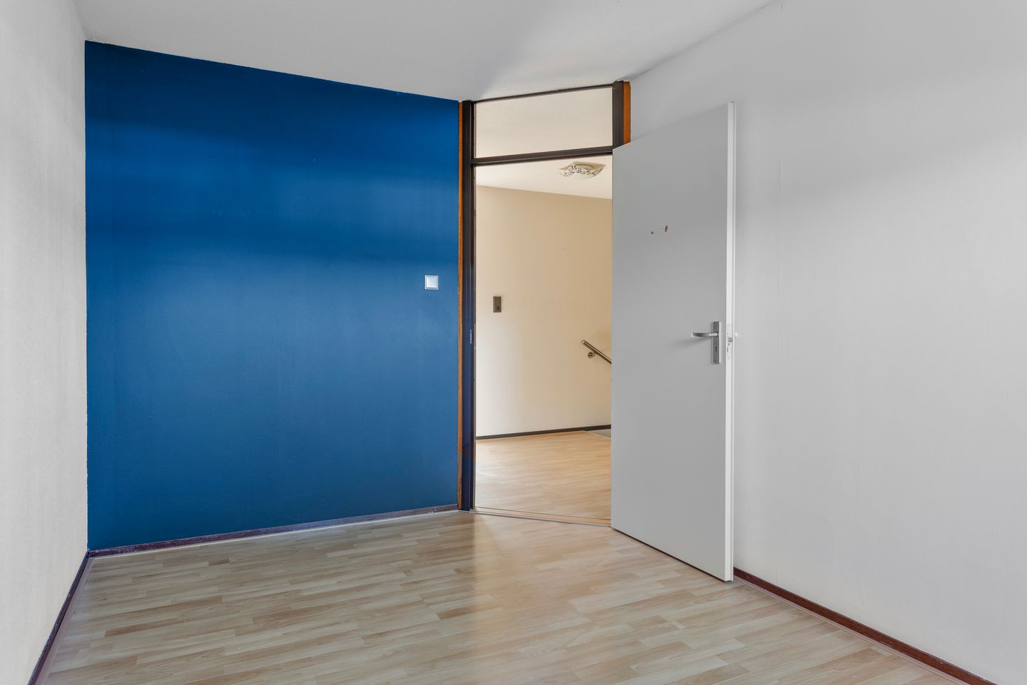 Foto 19 van Kanariesprenk 255