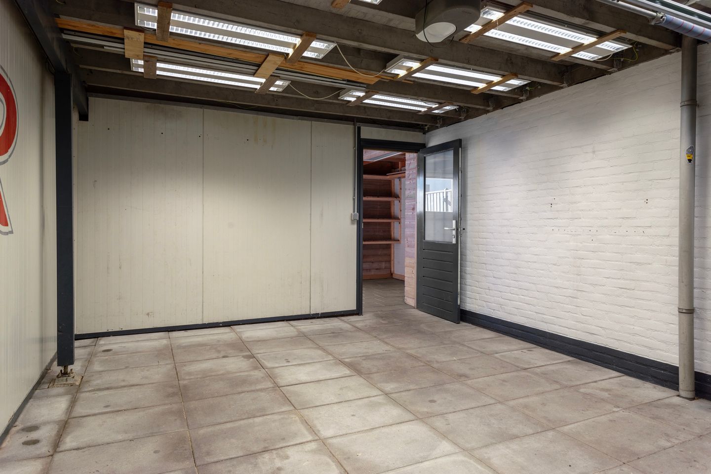 Foto 29 van Kanariesprenk 255