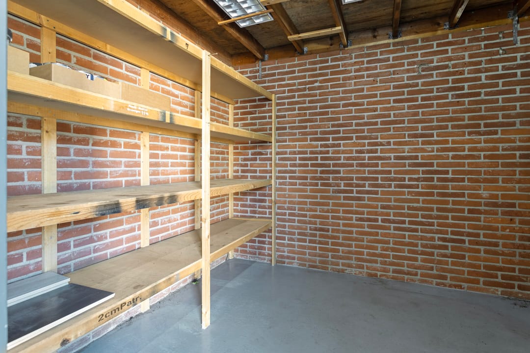 Foto 31 van Kanariesprenk 255