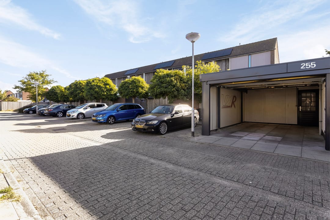 Foto 32 van Kanariesprenk 255