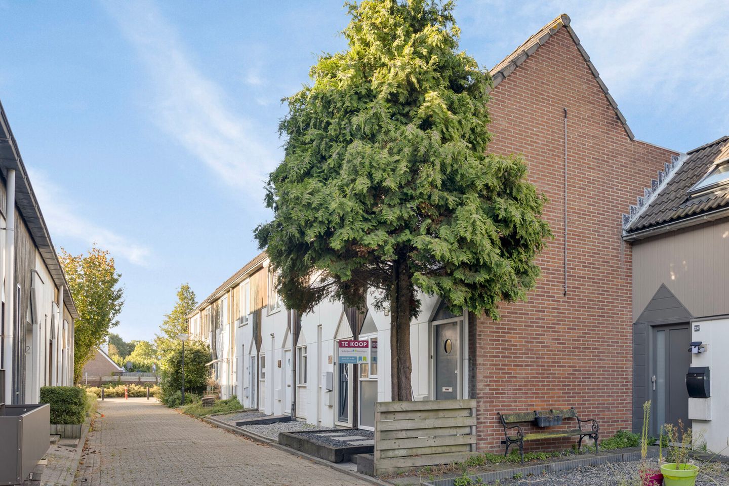 Foto 34 van Kanariesprenk 255