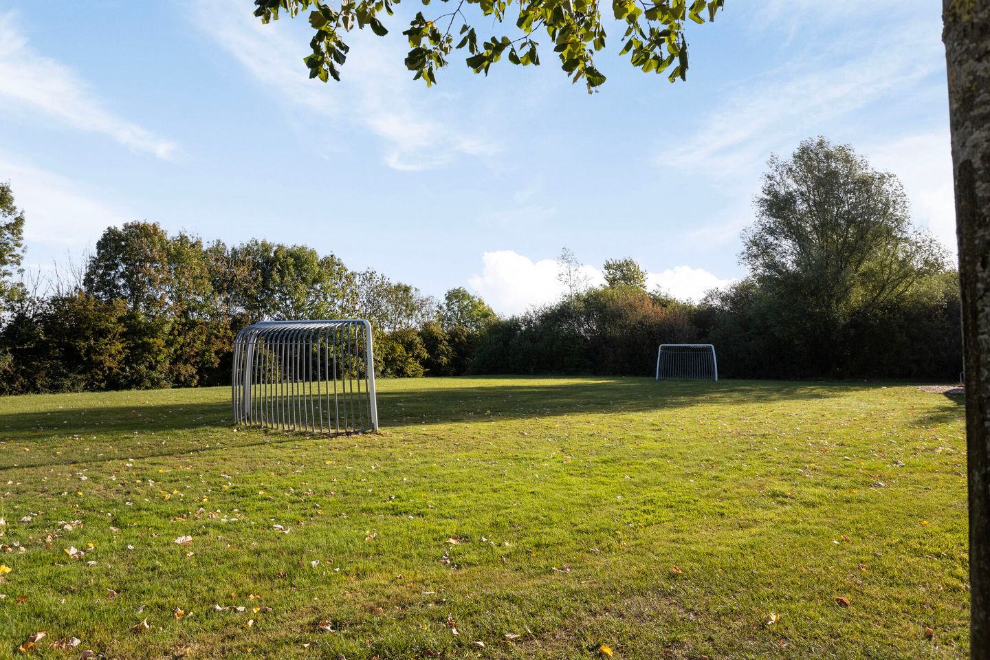 Foto 35 van Kanariesprenk 255