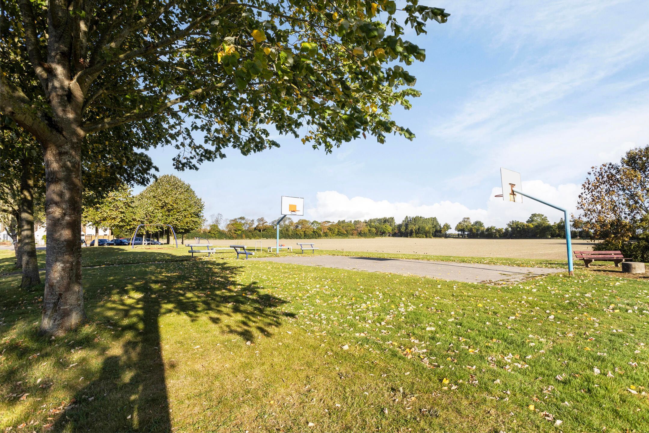 Foto 36 van Kanariesprenk 255