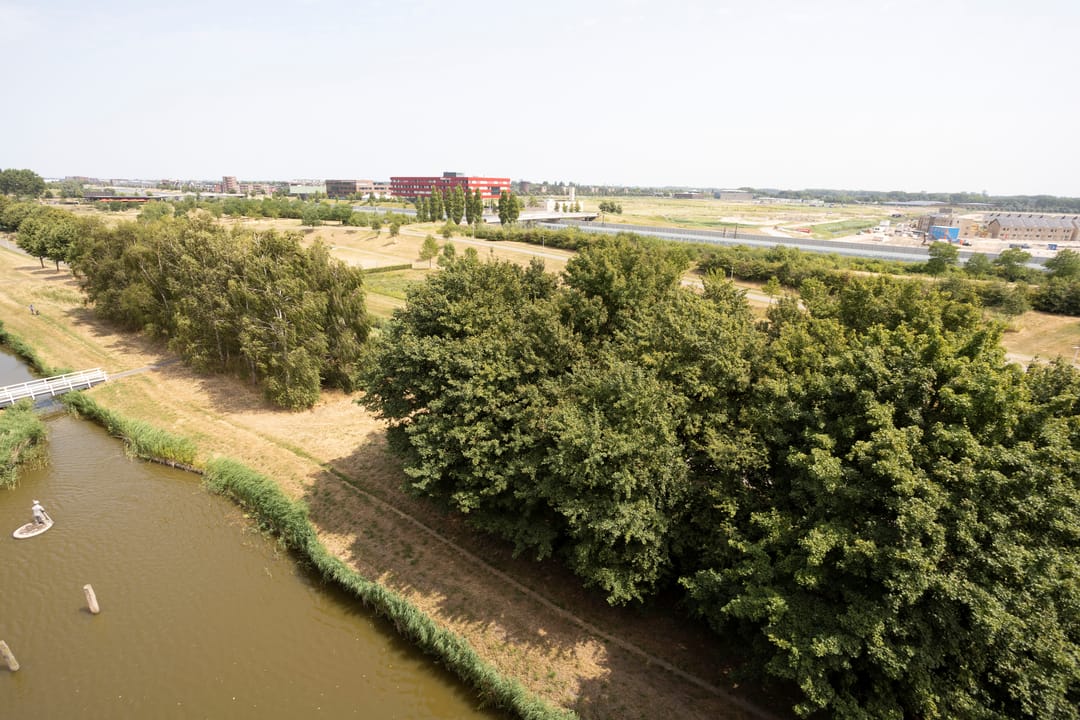 Photo 67 of Kwelderplantsoen 105