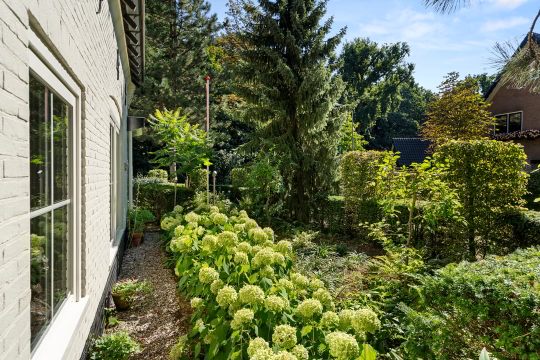 Foto 61 van Kastanjelaan Oost 39