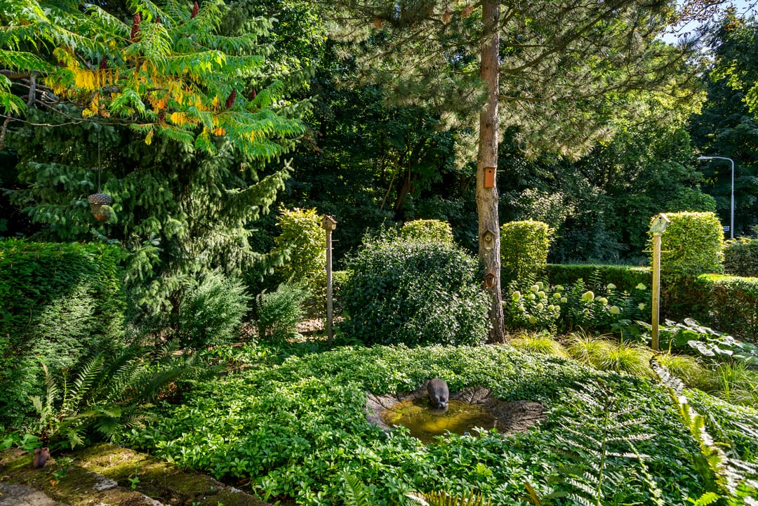 Foto 62 van Kastanjelaan Oost 39