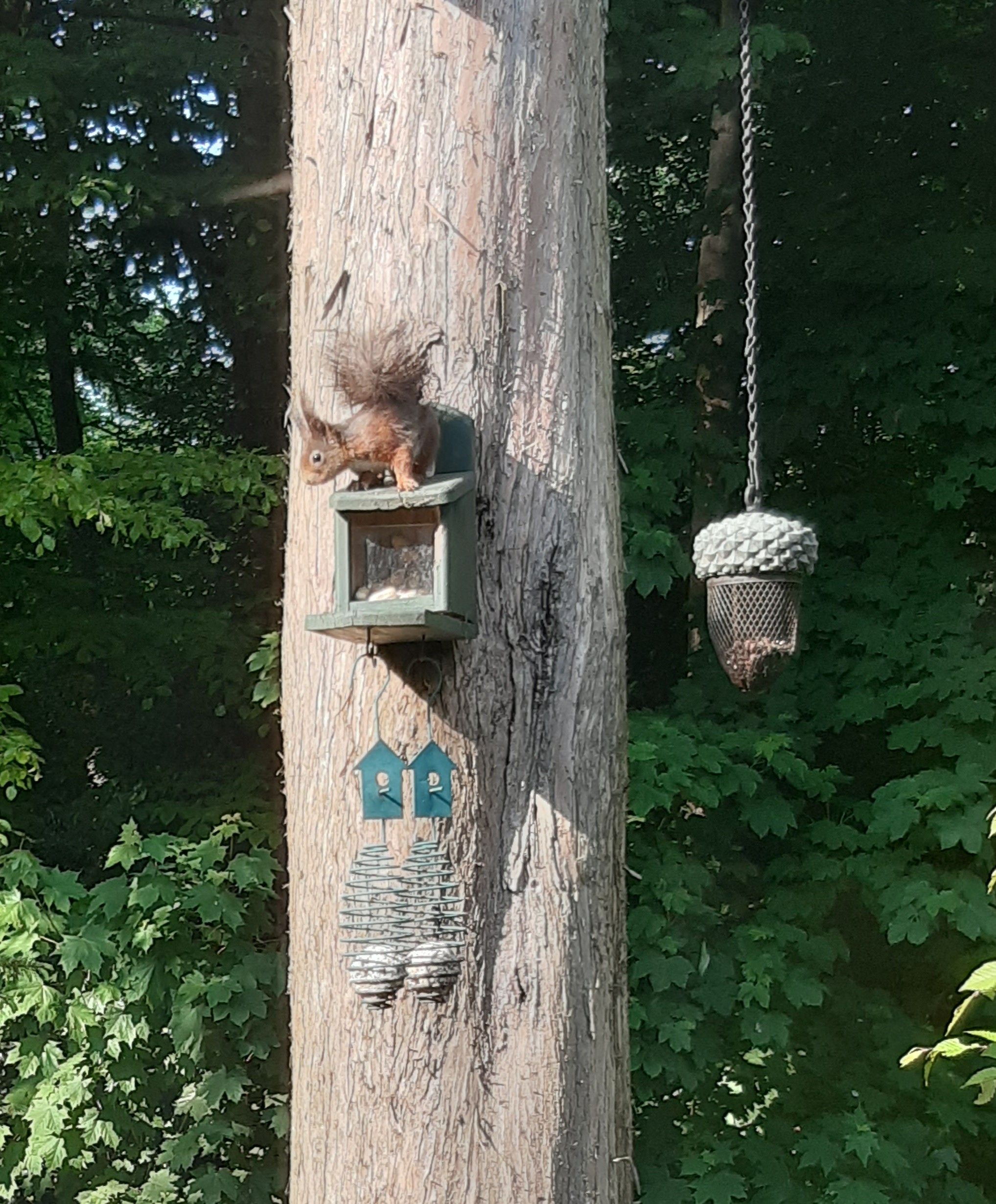 Foto 69 van Kastanjelaan Oost 39