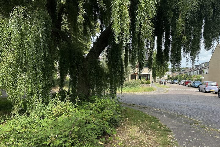 Foto 30 van Hondsdraf 28