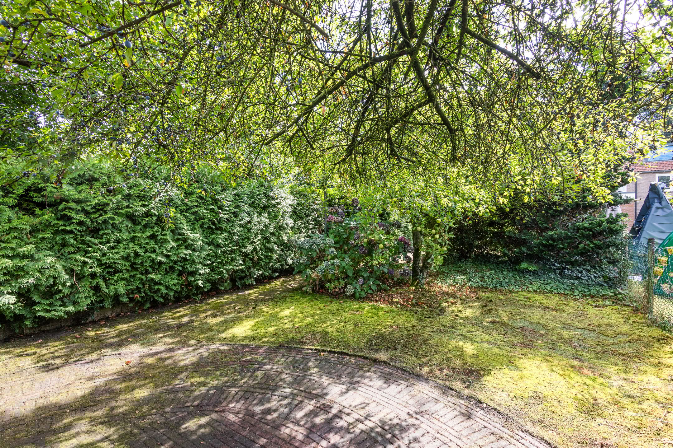 Foto 39 van Oosterstraat 177