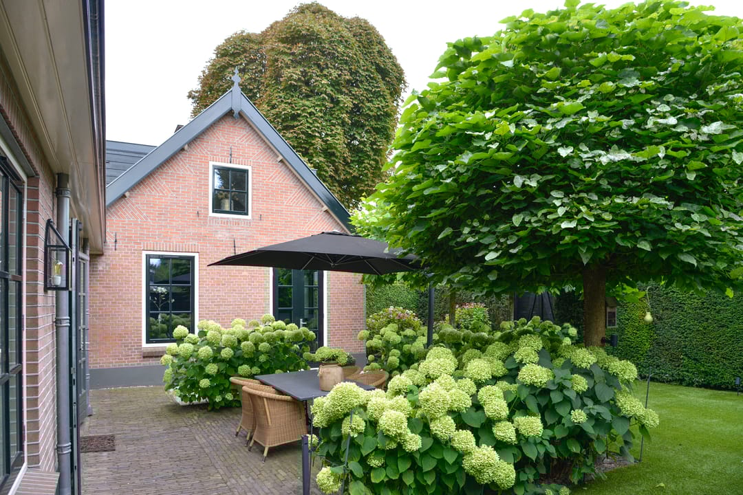 Foto 31 van Paviljoensweg 4