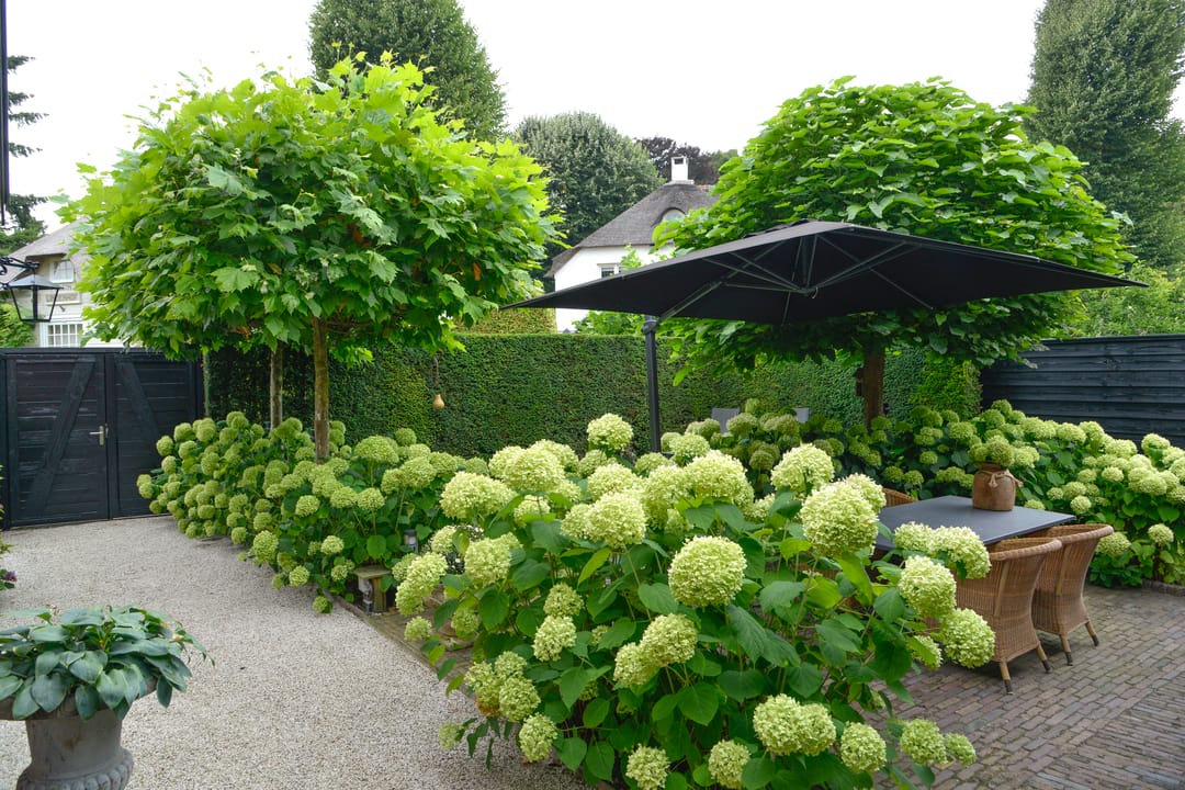 Foto 32 van Paviljoensweg 4