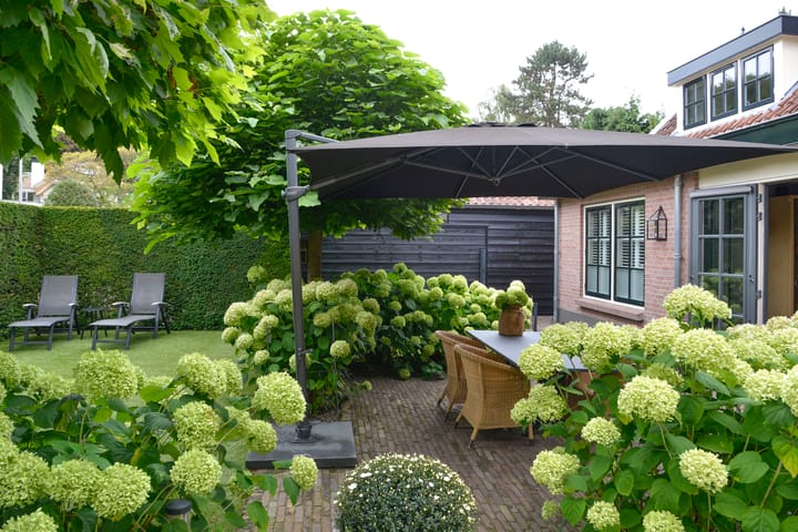 Foto 33 van Paviljoensweg 4