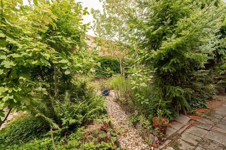 Foto 44 van Herenstraat 38