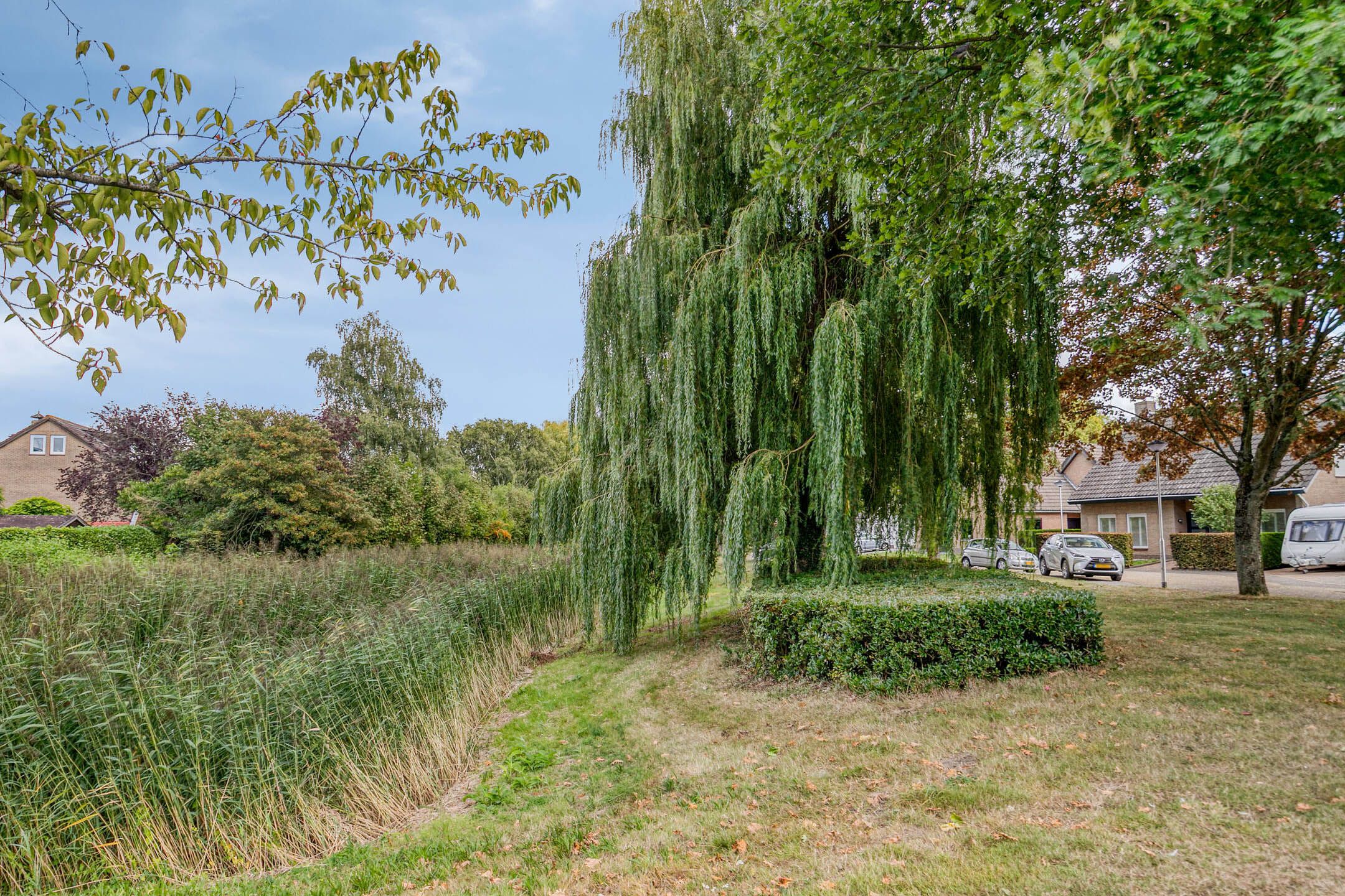 Foto 45 van Noppenstraat 4