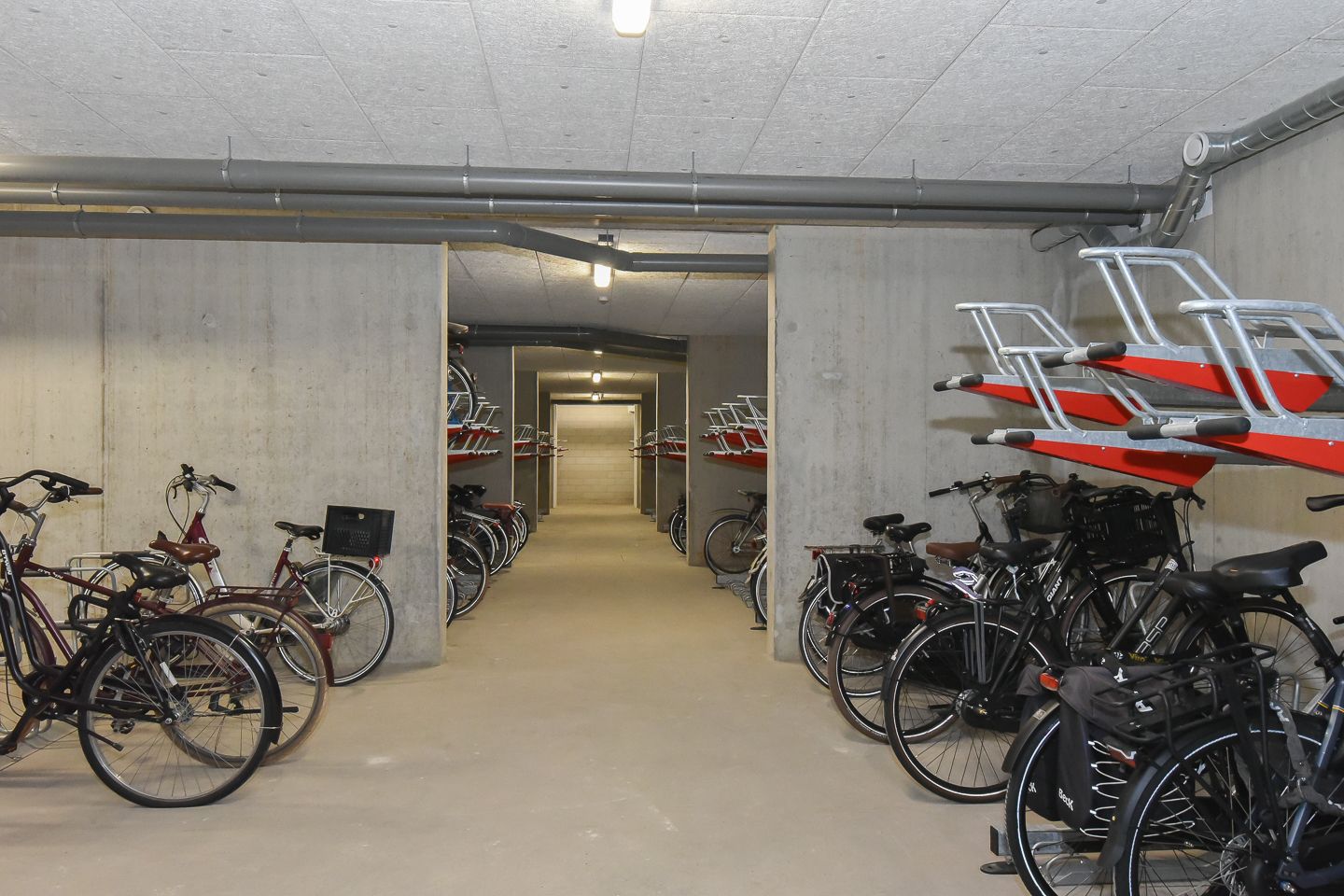 Foto 14 van Mahoniehout 427