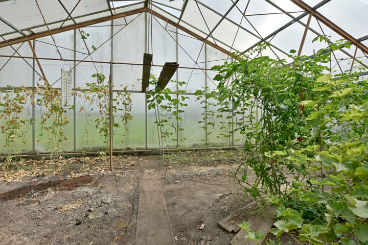 Foto 23 van Schilkerweg 6-A