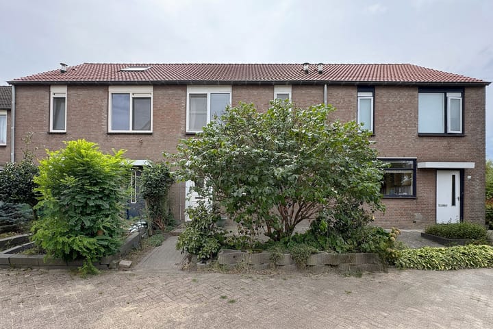 Foto 48 van 't Magesijn 40